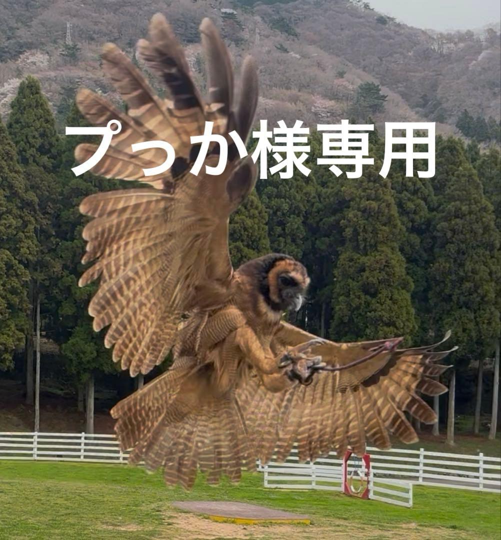 サーマレスト　アンダーキルト　ハンモック